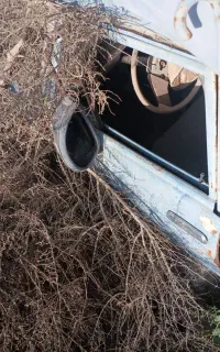 فروش سایپا اسقاطی