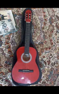 گیتار ARIA