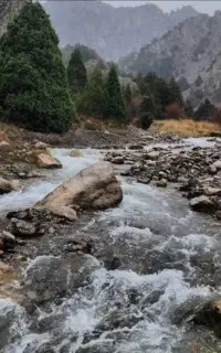 تور یک شبه کمپی