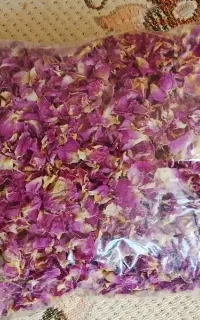 گل محمدی