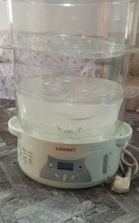 بخار پز