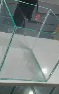 اکواریوم
