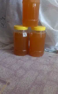 عسل ۱۰۰درصدطبیعی کبیرکوه  خاصیت درمانی بدون شکر