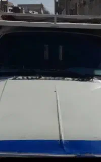 وانت