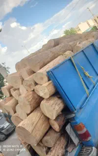 خرید وبرش وهرس چوب