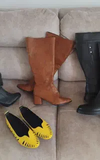 بوت مجلسی