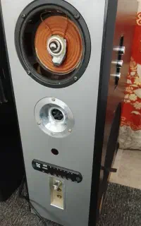 فروش کالا به علته نیازه والی