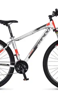 rapido pro1 سایز 29 حرفه ای
