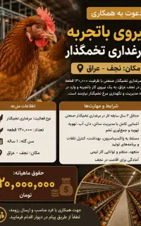استخدام نیروی کار مرغداری