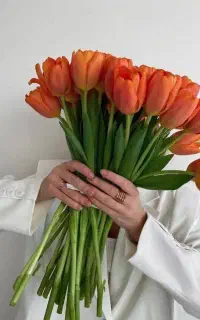 ادمین غیرحضوری  و سایت هستم نیاز ب کار دارم