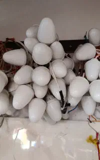 اجاره ریسه بلوطی هفت رنگ
