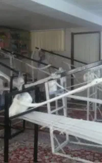 دستگاه حوله بافی
