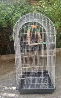 قفس پرنده