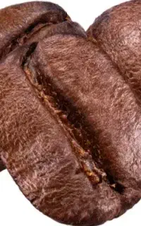 قهوه و چای ماسالا