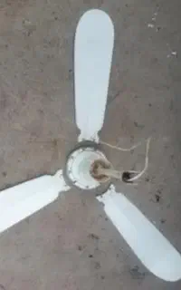پنکه سقفی اس ام اس