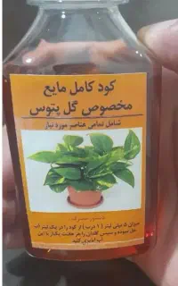 کود مایع مخصوص پتوس