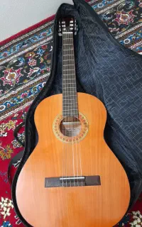 گیتار سالم به همراه وسایل اولیه