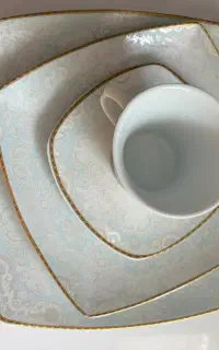 ظرف چینی پردیس