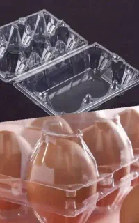 جا تخم مرغ طلقی ۶ عددی