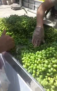 دستگاه/جدید/آبغورهcجدیدآب انگور گیری