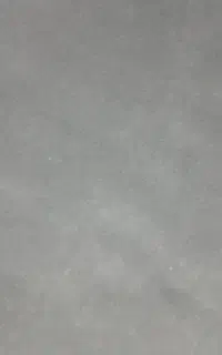 موکت طوسی