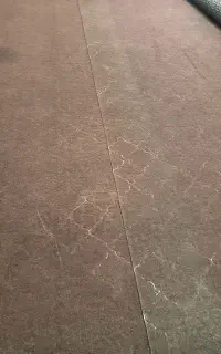 موکت فقط فقط ۳ تومن