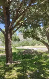 حرکت به کرمانشاه