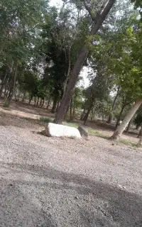 راننده پایه یک جهت ابیاری فضای سبز