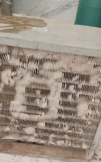 متور دانفوس