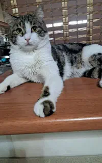 آماده همکاری دربخش های مختلف اداری،فروشگاهی و...