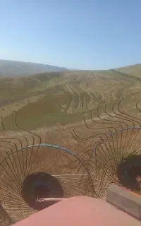 فروش‌پرس‌‌علف