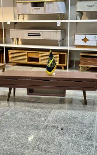 تی وی رادیویی فندقی