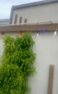 برق کشی ساختمان