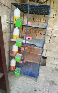 قفس پرنده
