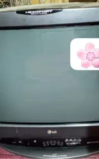 تلویزیون LG