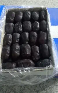 خرما