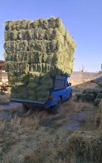 یونجه انباری