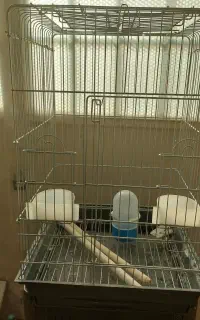 قفس کاسکویی