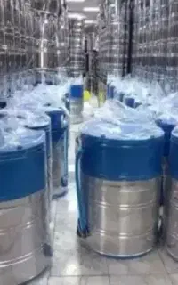 پتوشور گیربکسی 80 کیلویی خشک کن دار