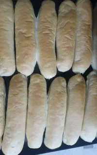 نیازمند شاطر و فردار