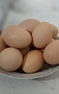 تخم مرغ رسمی
