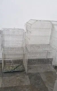 قفس پرنده