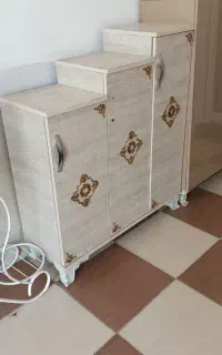 جا کفشی