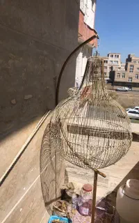 قفس زینتی