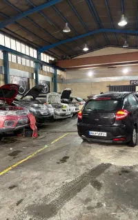 مجموعه تعمیرگاهی مولتی برند کارینو