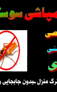سمپاشی « سوسک »