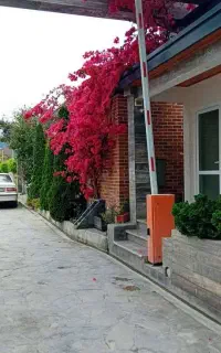 جذب نگهبان شب گرد