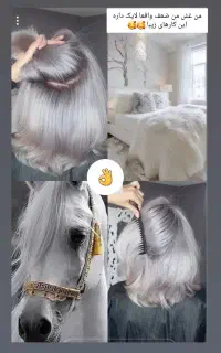 جشنواره رنگ ولایت برای دوران جنگ هرگز تکرار نمیشه