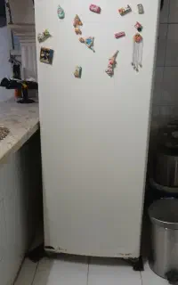 یخچال کاملا سالم