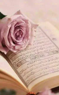 تلاوت قرات دوتابچه دارم مشک ل دارن..